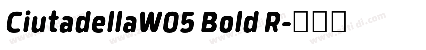 CiutadellaW05 Bold R字体转换 CiutadellaW05 Bold R字体转换